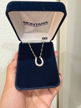 Silver Horseshoe Necklace